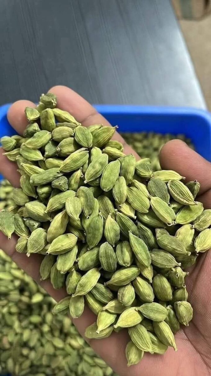 Cardamom Small Size 6mm